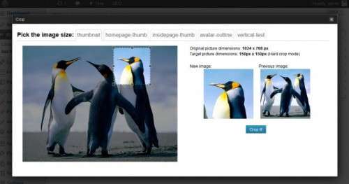 11 відмінних плагінів WordPress для дизайнерів