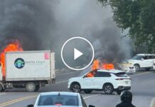 Дезінформація Підживлювала Паніку під час Недавнього Насильства в Мексиці