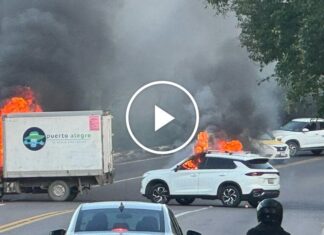 Fehlinformationen schürten Panik während der jüngsten Gewalt in Mexiko