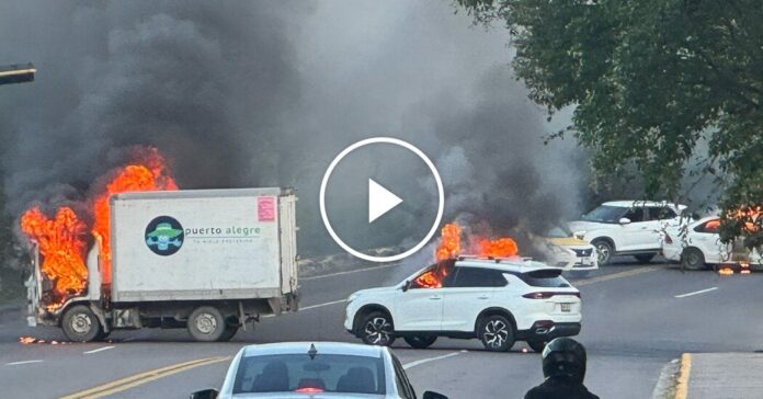 61b480f6-9163-4321-91e4-2746a6e86b85