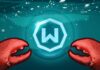 Windscribe дозволяє ІІ-агентам використовувати VPN: хаотично, але необхідно