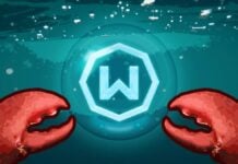 Windscribe дозволяє ІІ-агентам використовувати VPN: хаотично, але необхідно