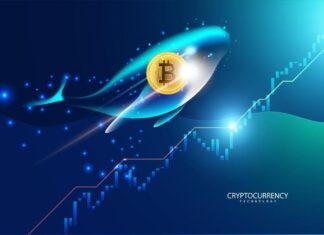 Who Are the Crypto Whales Controlling Bitcoin’s Price?