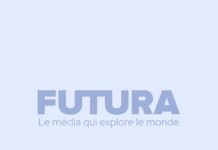 Waarom de Free Software Foundation er nog steeds toe doet in open source