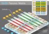 OLED з пасивною матрицею та OLED з активною матрицею: яка технологія дисплея підходить для вашого пристрою?